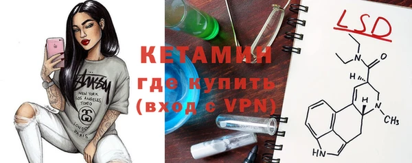 индика Алексин
