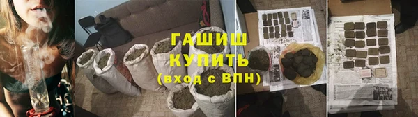 индика Сатка