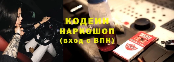 индика Сатка