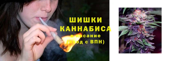 индика Сатка