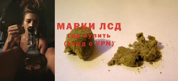 прущие крисы Аркадак