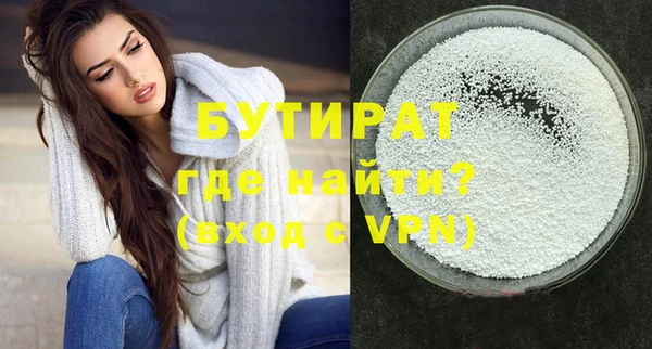 индика Алексин