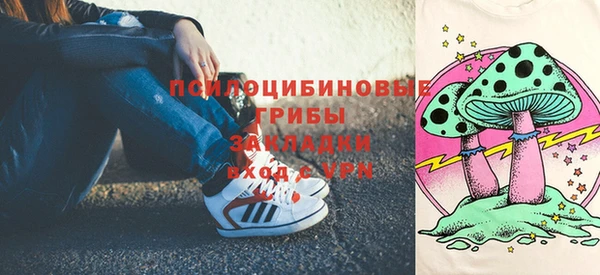индика Сатка