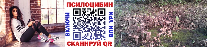 Галлюциногенные грибы мицелий  Белёв 